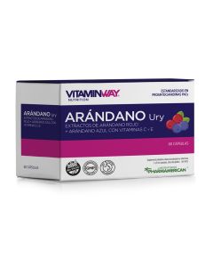 ARÁNDANO URY x60