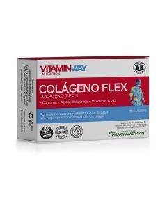 Colágeno Flex x30