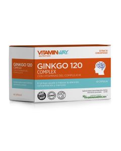 GINKGO 120 COMPLEX x60